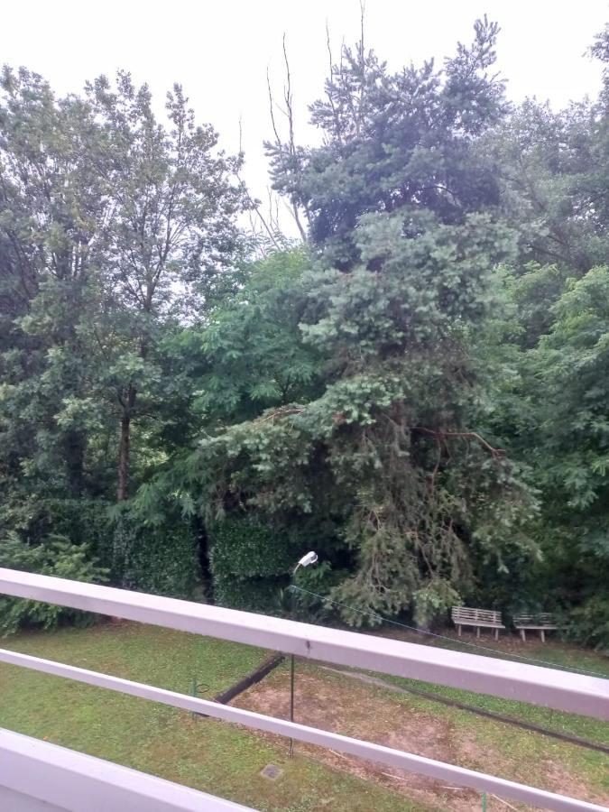 Lake Maggiore 2 Minutes Apartment Дормеллетто Экстерьер фото